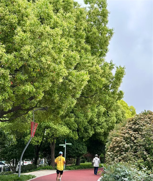 7-250503113410c3.jpg