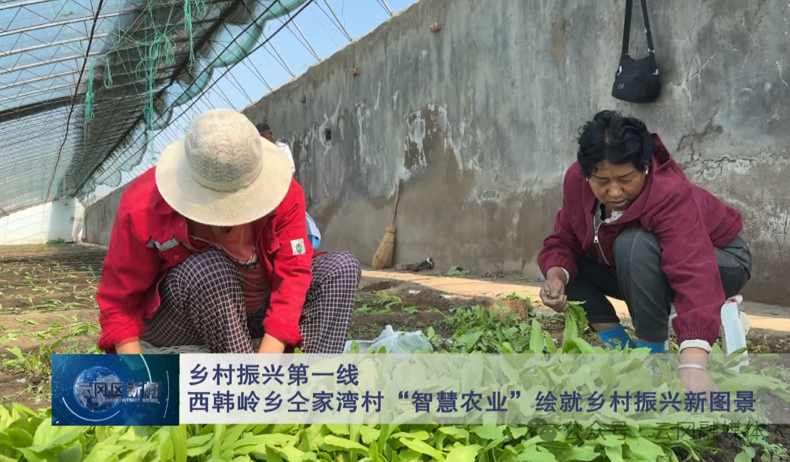 【乡村振兴第一线】山西大同云冈区西韩岭乡仝家湾村“智慧农业” 绘就乡村振兴新图景