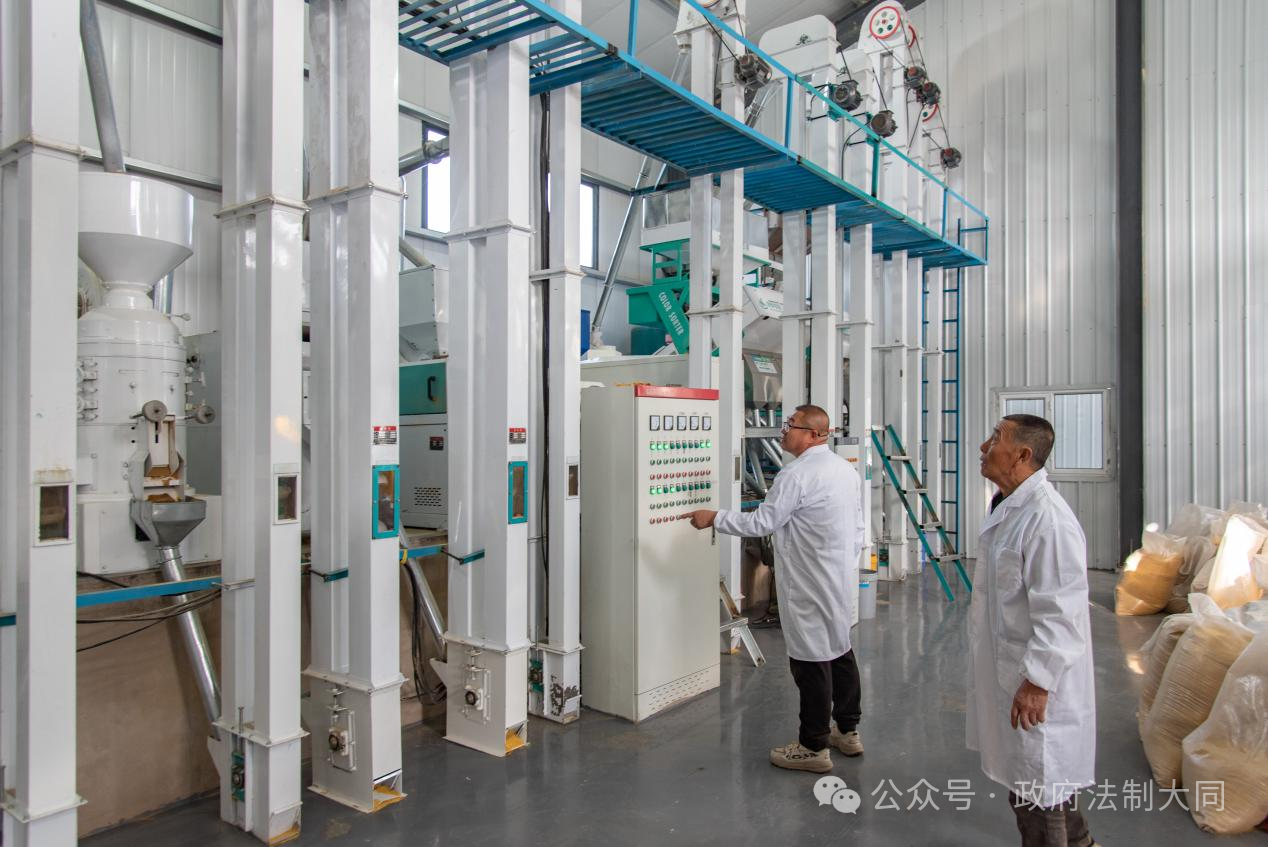 山西大同小杂粮变身农民“致富粮” 助推农业转型升级(图2)