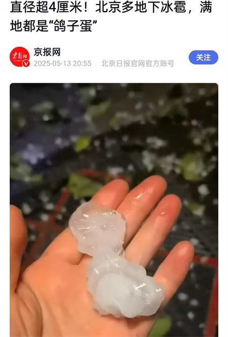 退林还耕的隐患(图3)