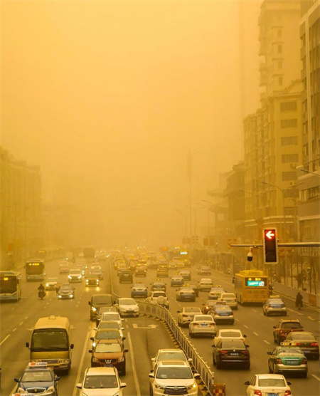 退林还耕的隐患(图2)