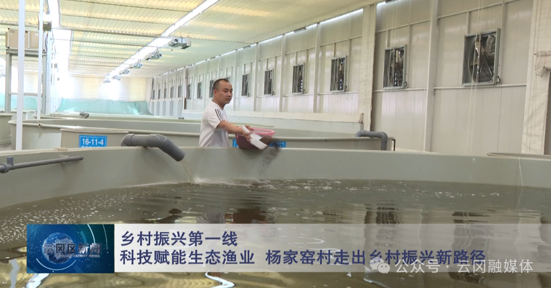 【乡村振兴第一线】科技赋能生态渔业发展新举措 山西大同杨家窑村走出乡村振兴新路径