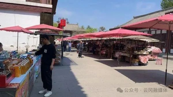 【乡村振兴第一线】山西大同云冈村：集体经济蓬勃发展