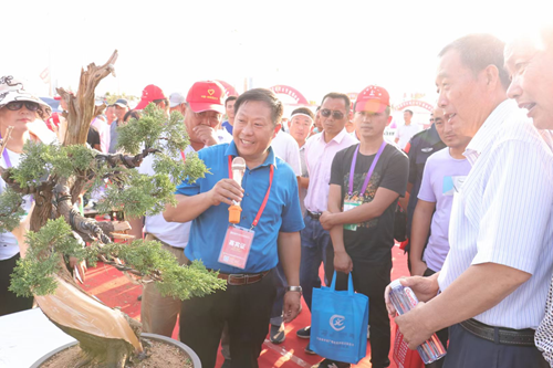 山东枣庄著名书画家、著名盆景讲师——崔培成(图4)