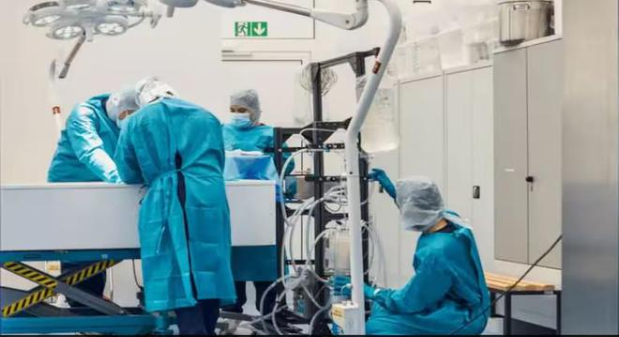 德国一公司推出 20 万美元遗体冷冻服务：为日后“复活”做准备