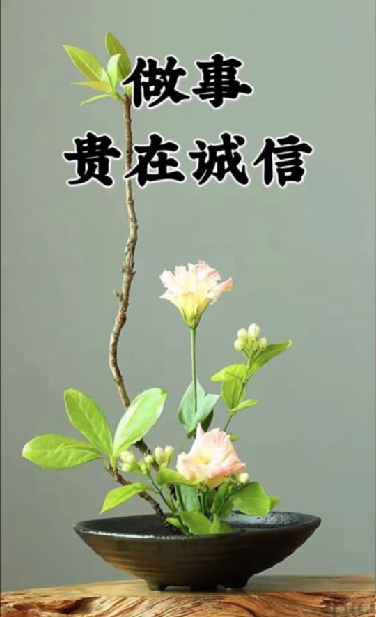 诚实守信方长久