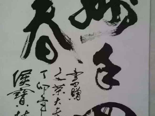 张文荣：从医 50 余年，以精湛医术和高尚医德捍卫中医尊严(图13)