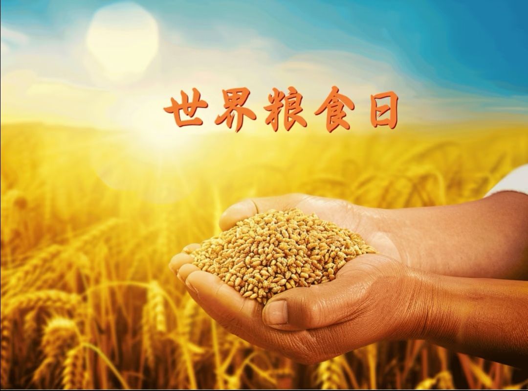 记2025年世界粮食日