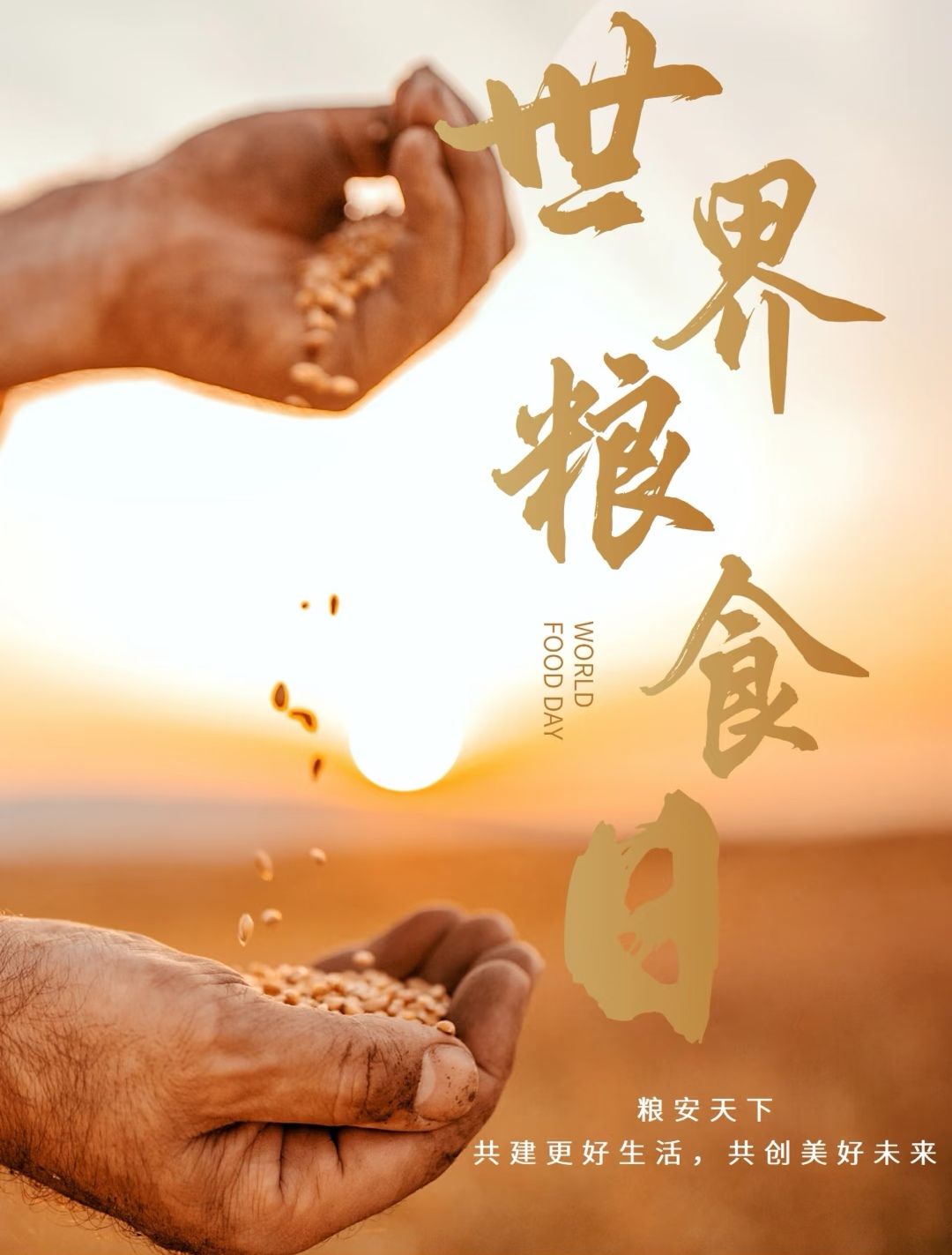 世界粮食日让我们共同珍惜每一粒粮食