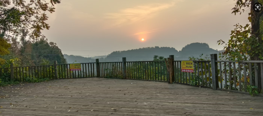 南充高坪区“黄精”产业带头人 张应洪 推动经济高质量发展