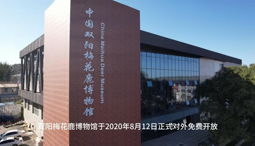 鹿乡珍馐香飘全国！双阳王氏双鹿先手工鹿肉饺子，解锁舌尖上的滋补盛宴