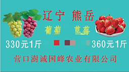 牛奶灌溉的草莓360元一斤引热议 公司回应：并非直接用牛奶浇地
